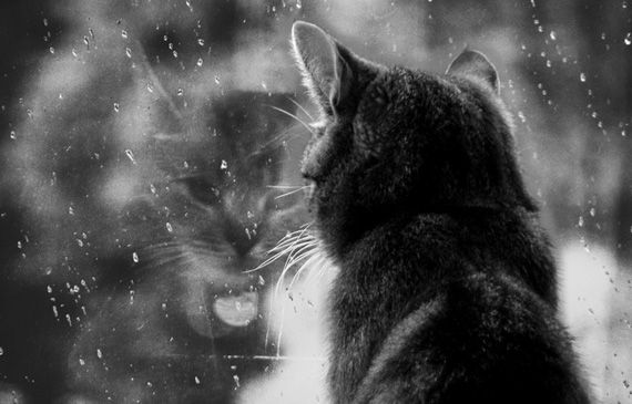 rain-outside дождь за окном
