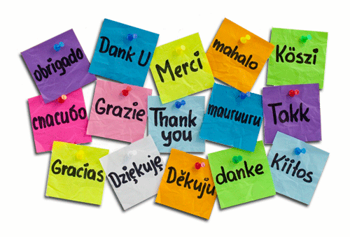 thanks thanks