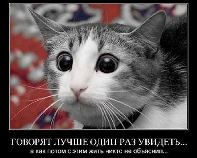 прикольная фотка прикольная фотка