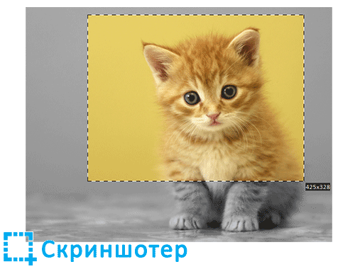 простой скриншотер
