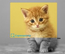 Скриншотер