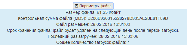 параметры загруженного файла