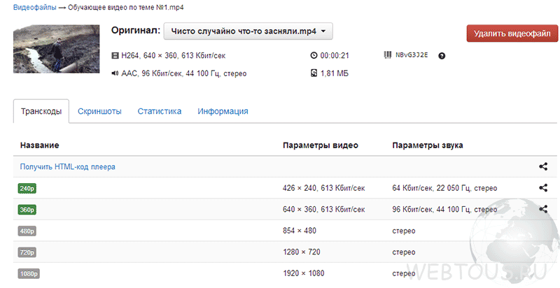 информация о загруженном видео