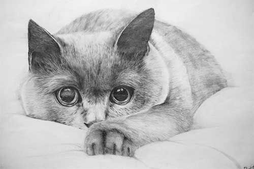 рисунок карандашом из фотографии