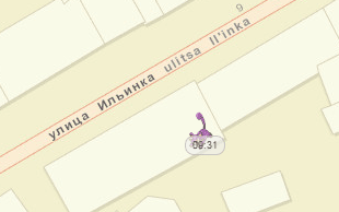 время жизни покемона