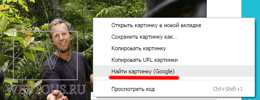 опция поиска в браузере хром