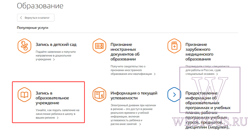 выбор категории услуг