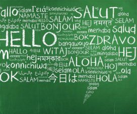 5-translators