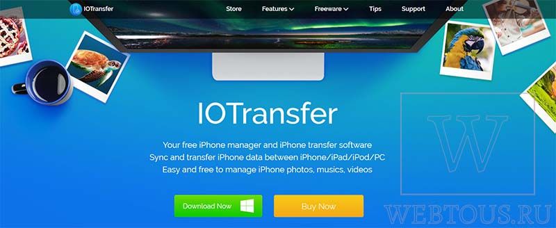 что такое iotransfer