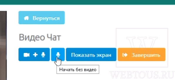 видеосвязь и чат