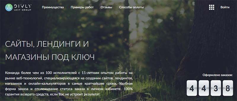 сайт компании divly
