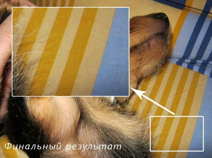 фото после удаления и доработки штампом
