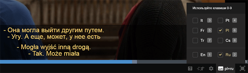 двойные субтитры и перевод