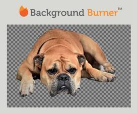 Background Burner