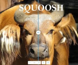 Squoosh
