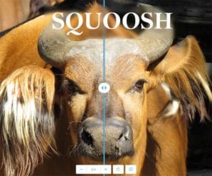 Squoosh