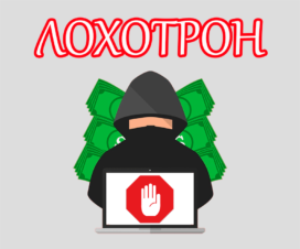 baxovnet-site