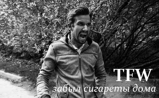 общий смысл TFW