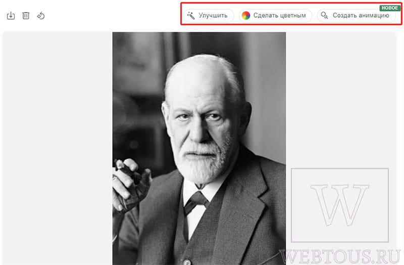 начальный этап создания живого фото