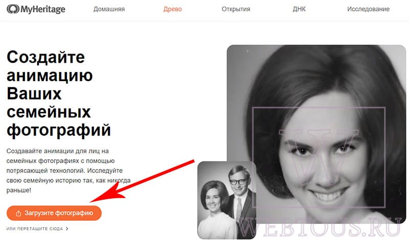 сайт myheritage на русском