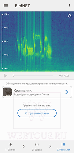 идентификация птицы по голосу