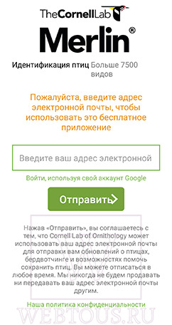 приложение merlin bird id