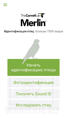 способы определения птиц