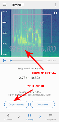 начать анализ