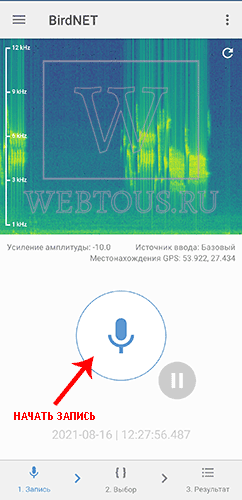 начать запись звука