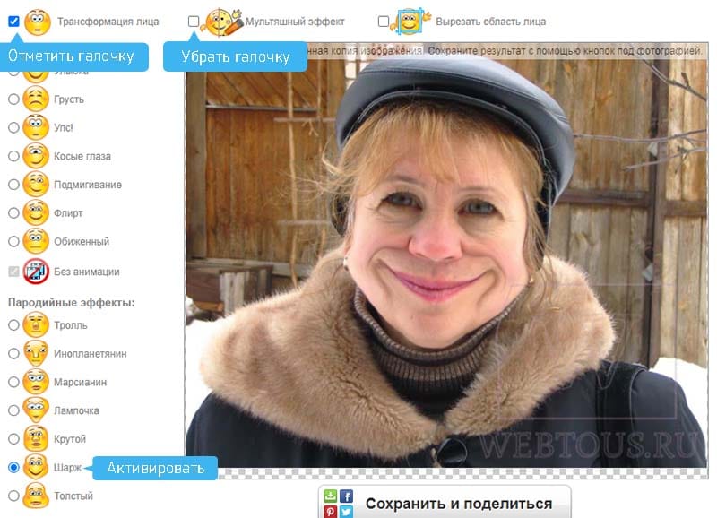 пример шаржа