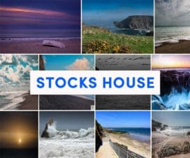 stocks-house