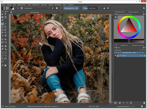 Krita