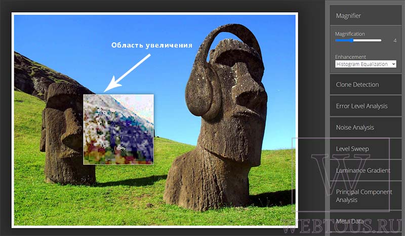 инструмент лупа приближает области фотографии