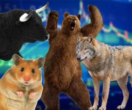 animals-btc