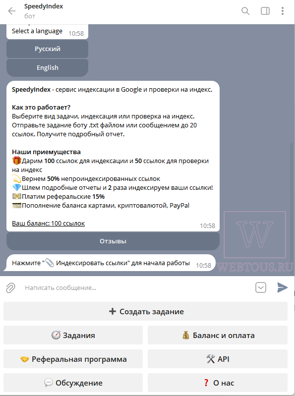 чатбот спидииндекс
